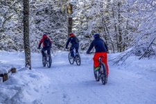 Winter Fat Bike Riders