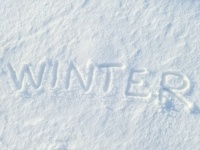 Wort Winter im Schnee