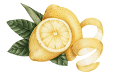 Limão fruta vintage velho