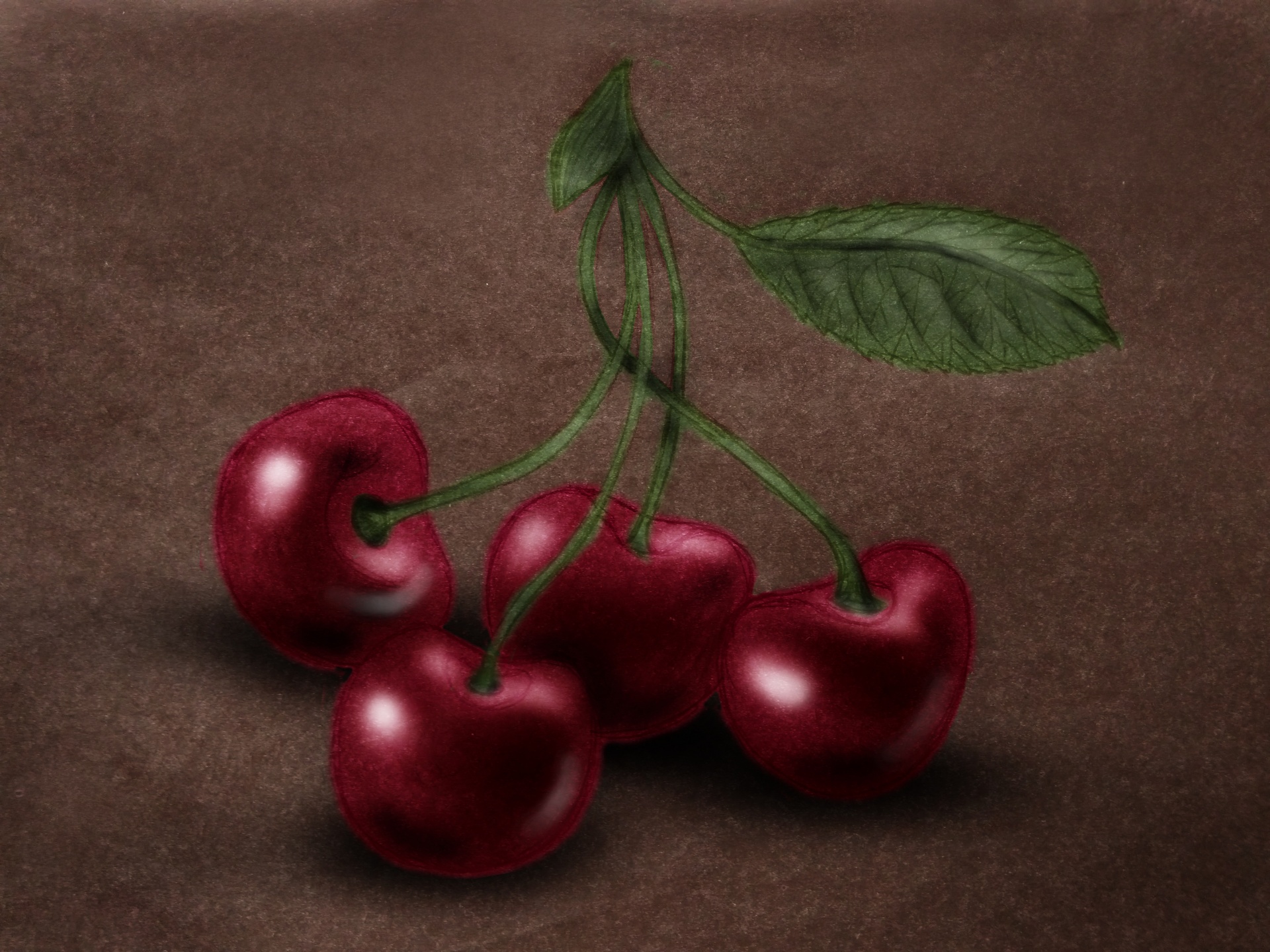 cherries - graphics, sketch