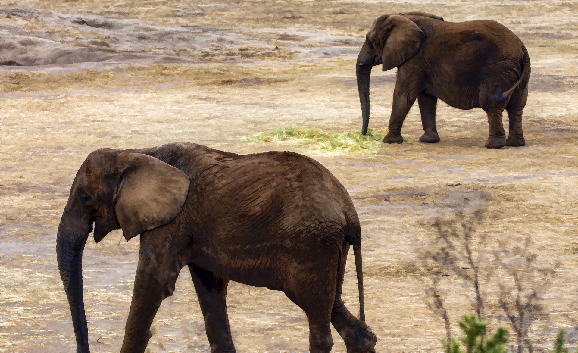 【携程攻略】Kuet Chang泰国大象自然保护公园景点,这里是清迈最好的大象乐园，它绝不同于其他大象营，这是一座半野生的…