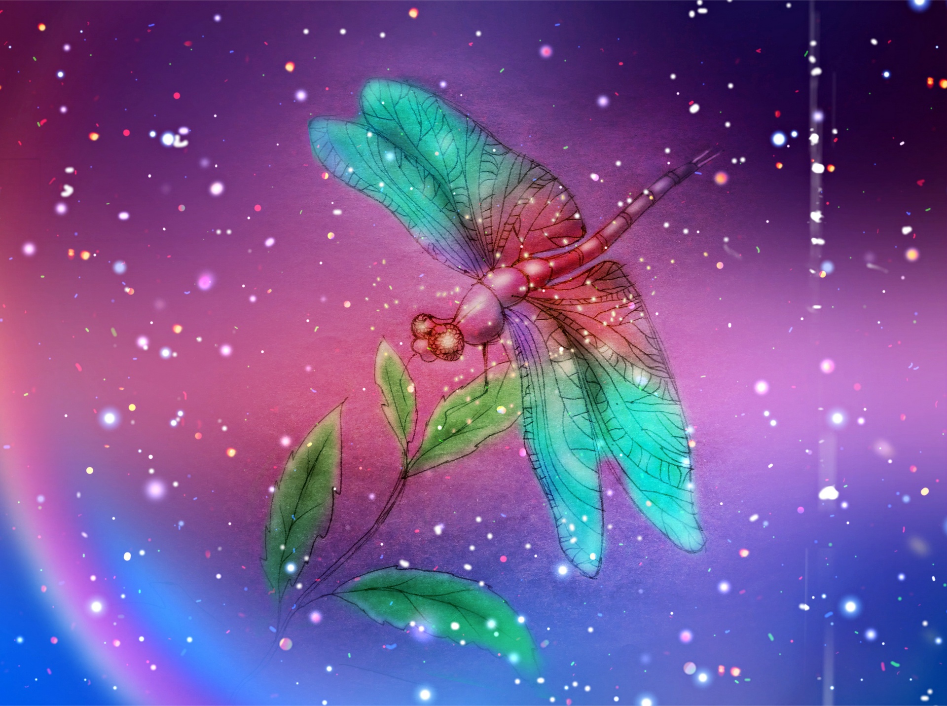 Magic Dragonfly Free Stock Photo - Public Domain Pictures