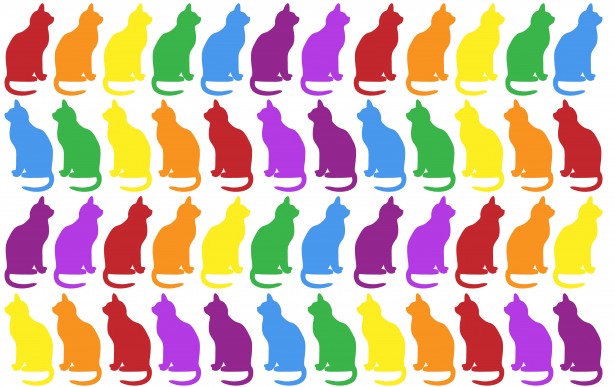 Colorat Pisici Imaginea De Fundal Poza Gratuite Public Domain