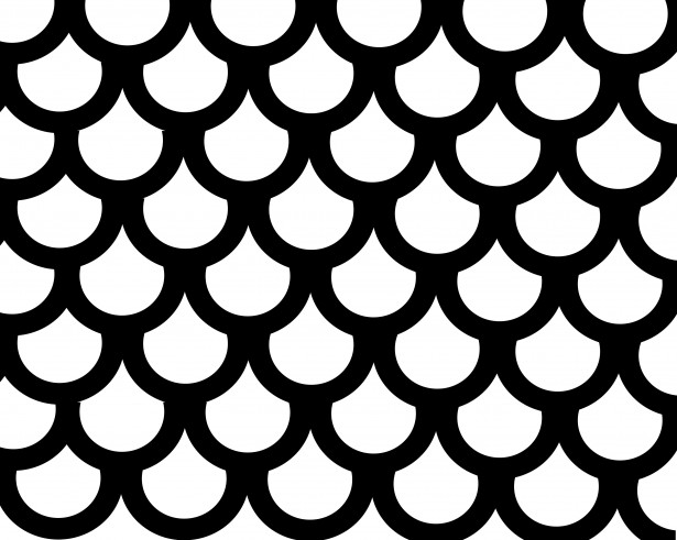 https://www.publicdomainpictures.net/pictures/40000/nahled/fish-scales-pattern.jpg