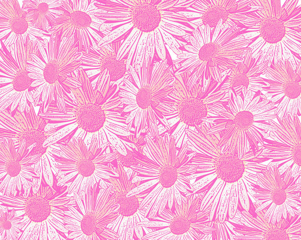 Pink Daisy Background Free Stock Photo - Public Domain ...
