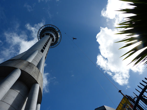 Image result for sky tower