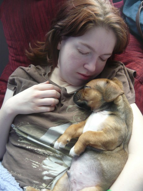 Pozwól dziecku spać z zwierzakiem. Badania naukowców w tym zakresie nie pozostawiają złudzeń