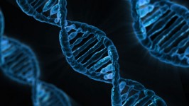 Estrutura de DNA