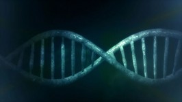 Menselijk DNA