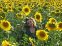 In The Sunflowers ...