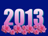 2013 Rose Graphic