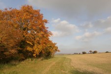Hösten Landskap