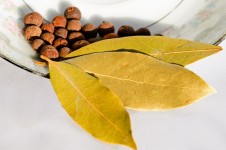 Bay Leaf And Allspice