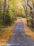 秋の美しい田舎道