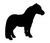 Black Pony Silhouette