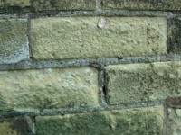 Brick Wall háttér Cream