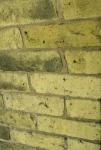 Brick Wall pionowe tle