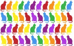 Gatos colorido papel tapiz de fondo