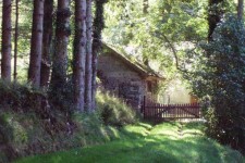 Cottage in den Vogesen