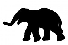 Silhueta elefante
