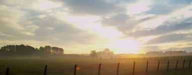 Farmer's Sunrise