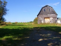 Field With Old Barn