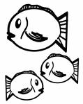Fish Outlines
