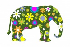 Funky retro floral Elefanten