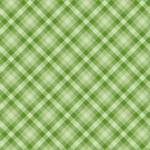 Gingham Controles Green