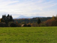 Green Field avec Hay