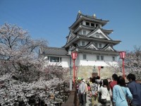 Japanese château