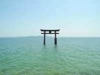 湖泊琵琶湖