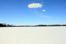 Maria Lago Congelado