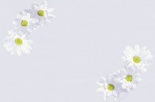Brevpapper - Blommor