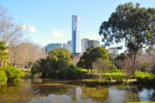 Melbourne City From Botanic Gardens