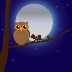 Owl de Moonlight