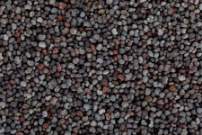 Poppy Seeds Texture