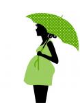 Gravid kvinna silhuett Clipart