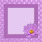 Purple Flower Card Frame