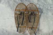Snowshoes # 1