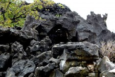 Roca de piedra