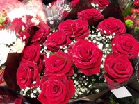 Růže pro Valentines Day