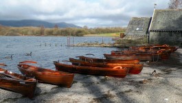 Barcos de Rowing