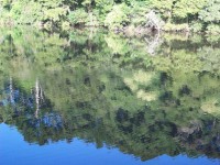Natursköna vatten reflektion