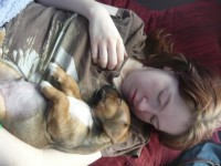 Sleeping With Haar Bulldog