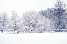 Snowy Landscape 2