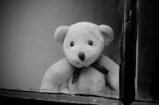 Nallebjörn bakom ett fönster