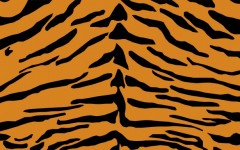 Tiger Padrão de impressão de pele