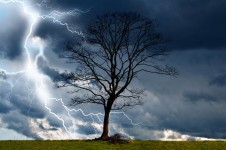 Tree and Storm 2