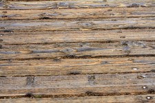 Textura de madeira da prancha